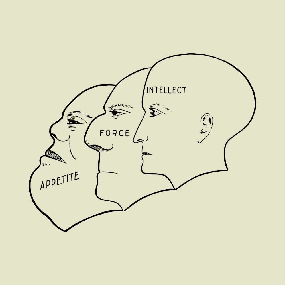 The Faces of Appetite, Force and Intellect Vector