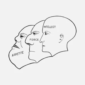 The Faces of Appetite, Force and Intellect Vector