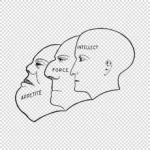 The Faces of Appetite, Force and Intellect Vector