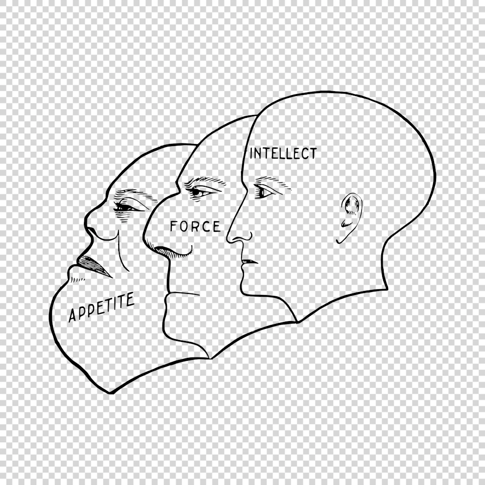 The Faces of Appetite, Force and Intellect Vector