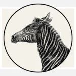 The Zebra Poster