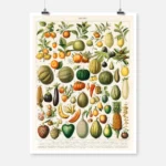 Varieties of Fruits and Vegetables Poster