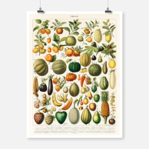 Varieties of Fruits and Vegetables Poster