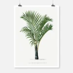 Vintage Palm Tree Poster