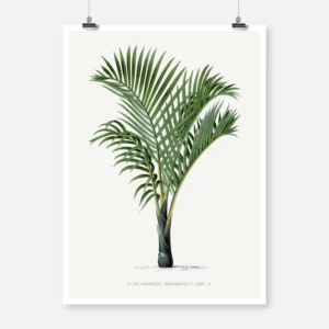 Vintage Palm Tree Poster