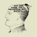 Why and Where the Presidential Bee Buzzes Vector