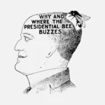 Why and Where the Presidential Bee Buzzes Vector