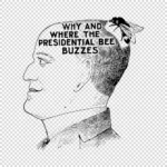 Why and Where the Presidential Bee Buzzes Vector