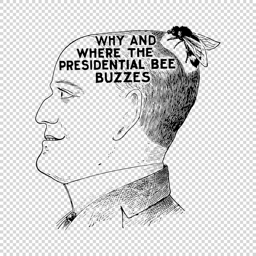 Why and Where the Presidential Bee Buzzes Vector