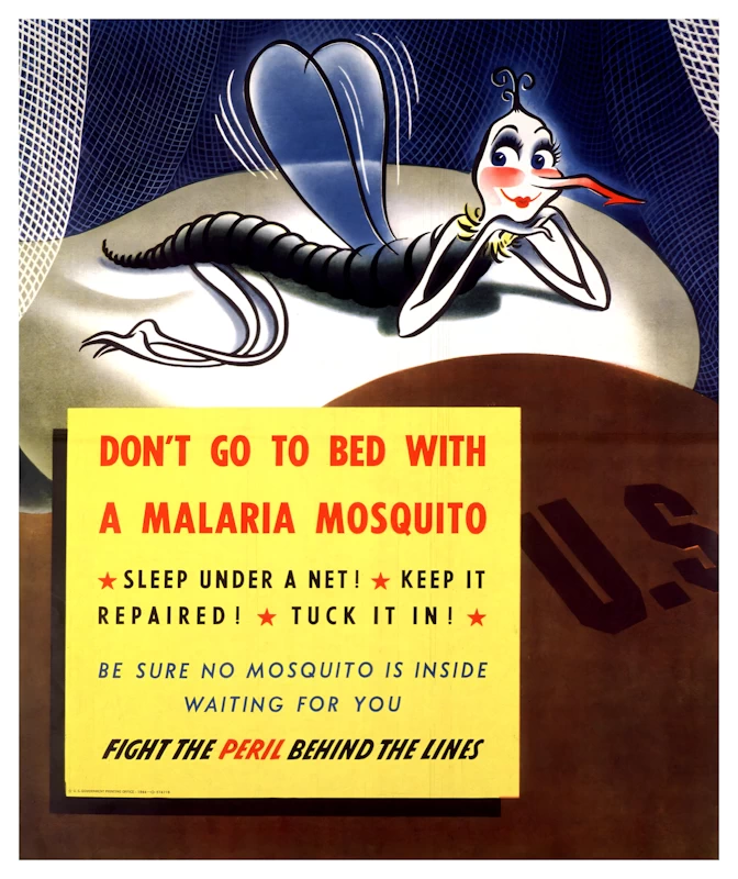 Don't Go To Bed With A Malaria Mosquito Poster