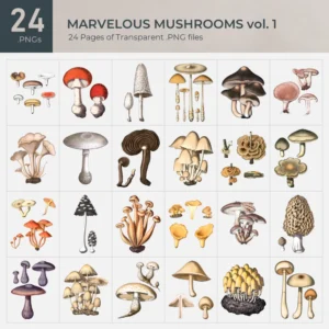 Marvelous Mushrooms Vol. 1 Collection