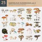 Marvelous Mushrooms Vol. 2 Collection