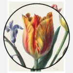 Three Tulips and a Sprig of Hyacinth Poster