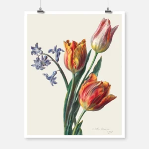 Three Tulips and a Sprig of Hyacinth Poster