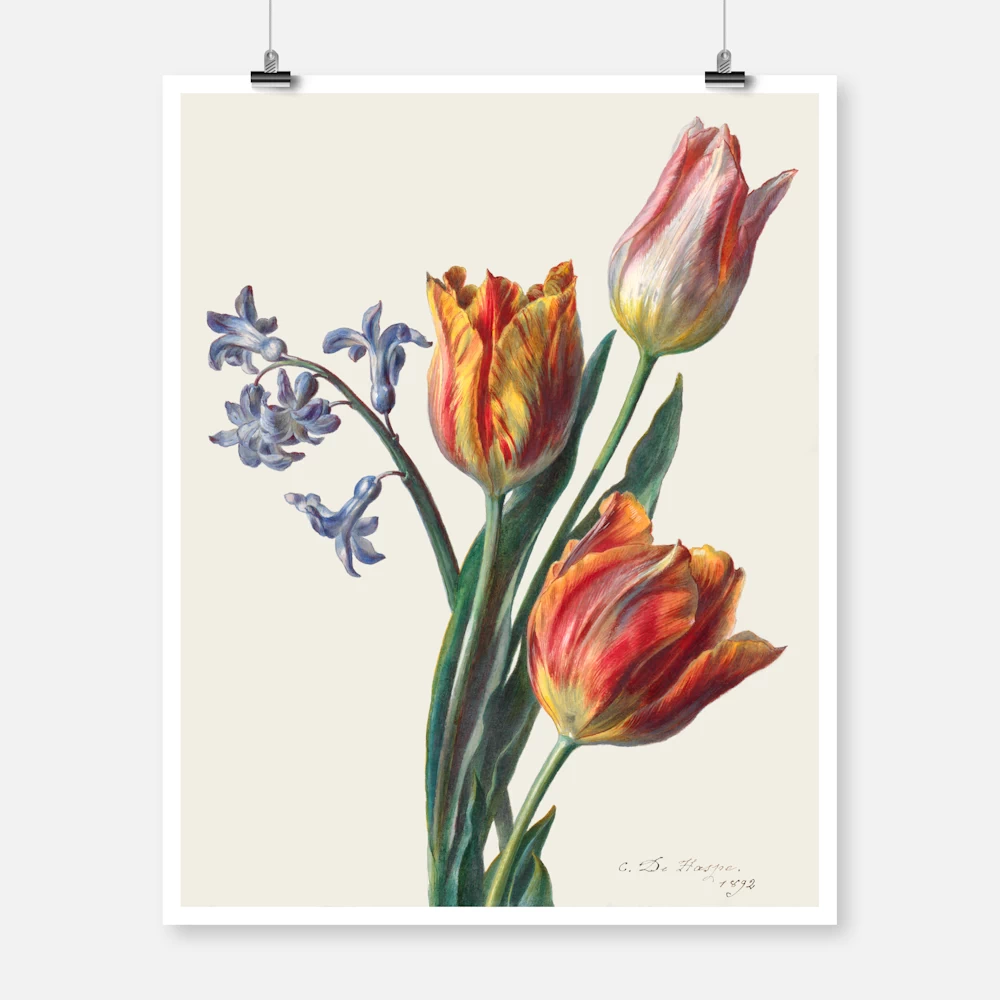 Three Tulips and a Sprig of Hyacinth Poster
