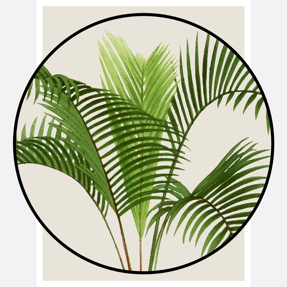 Vintage Palm Tree Poster