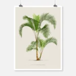 Vintage Palm Tree Poster