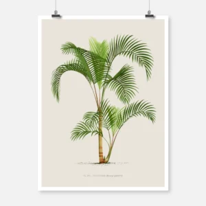 Vintage Palm Tree Poster