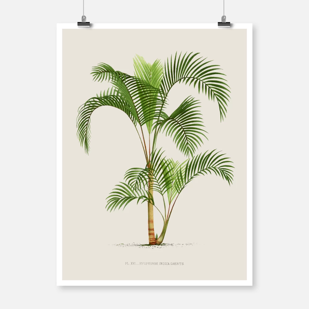 Vintage Palm Tree Poster