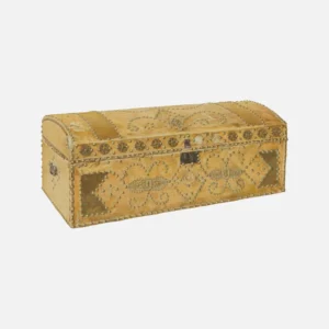Gold Color Trunk