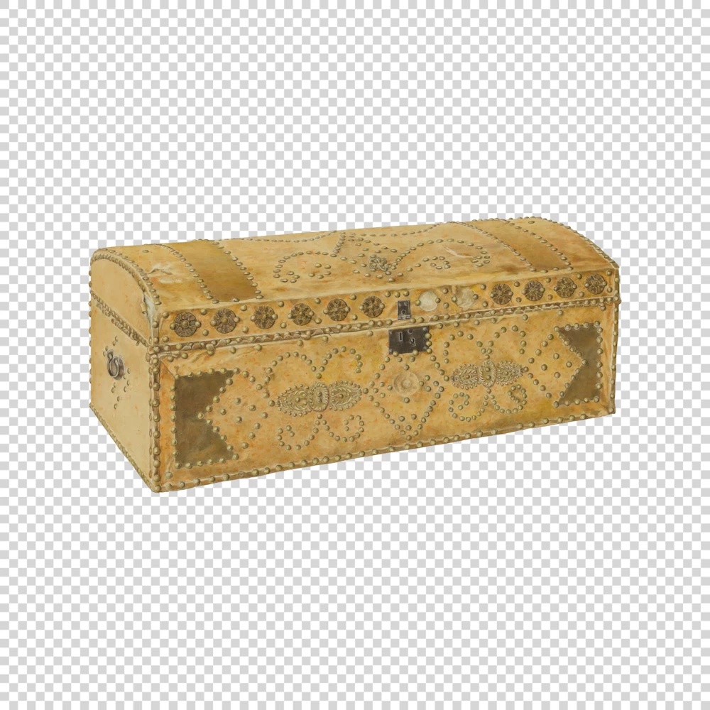 Gold Color Trunk