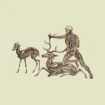 Skeletons of an Antelope, Man and Stag