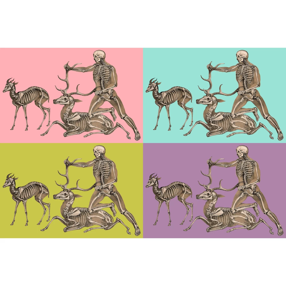 Skeletons of an Antelope, Man and Stag