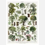 Trees in Color Poster
