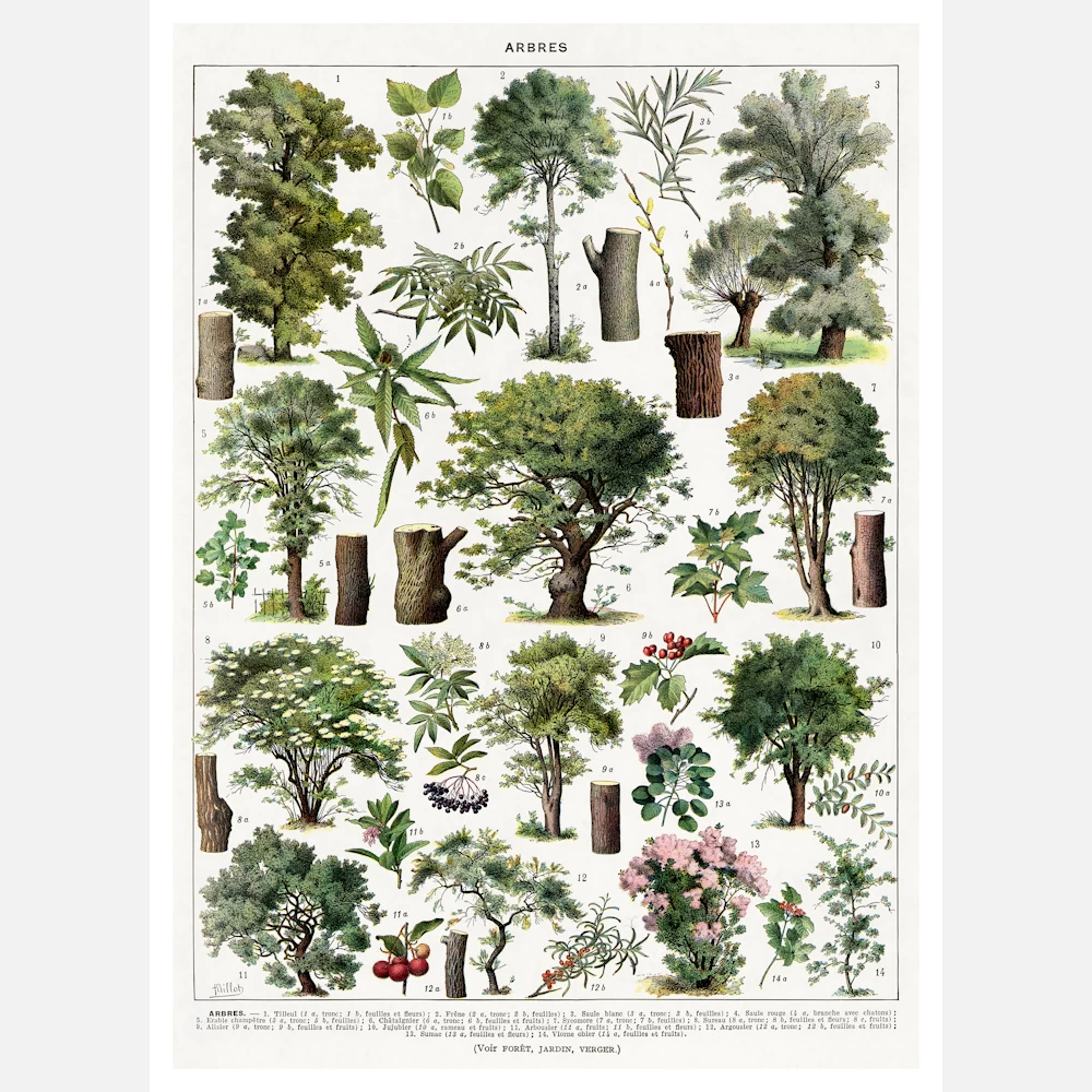 Trees in Color Poster