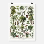 Trees in Color Poster