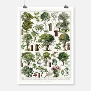 Trees in Color Poster
