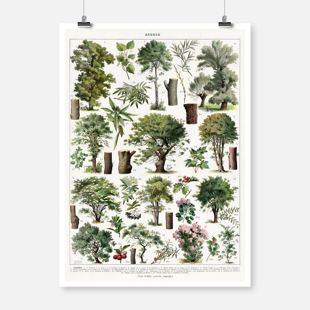 Trees in Color Poster