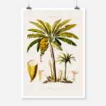 Banana Tree Poster