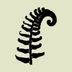 Fern Silhouette Vector