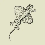 Flying Dragon Vector