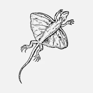 Flying Dragon Vector