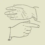 Hands Pointing Hand and Open Hand Vector