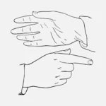 Hands Pointing Hand and Open Hand Vector