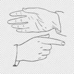 Hands Pointing Hand and Open Hand Vector