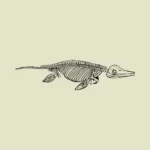 Ichthyosaurus Vector
