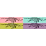Ichthyosaurus Vector