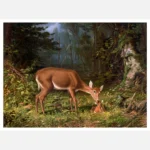 Maternal Love Deer Poster