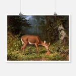 Maternal Love Deer Poster