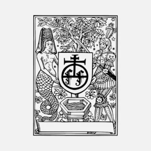 Mermaid and Knight Design Vector