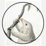 Silky Anteater Poster
