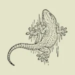 Wall Gecko Vector