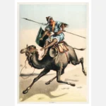 Camel Poster