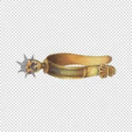 Fancy Gold Spur