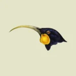 Female Huia Bird Head
