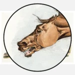 Light Brown Horse Poster